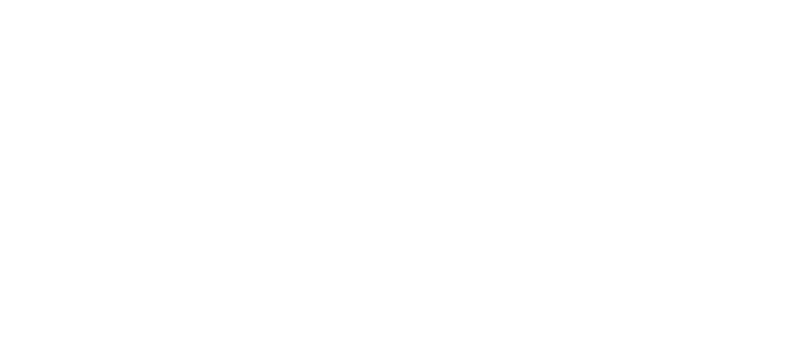 Digital Minds